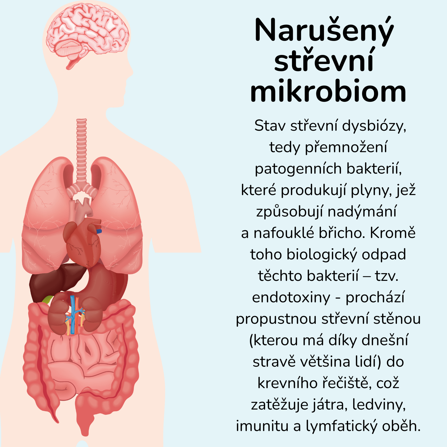 Narušený střevní mikrobiom